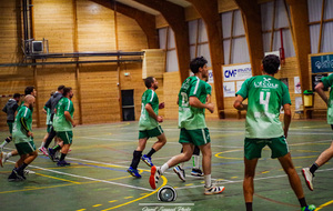 68b6a8b31310e_IMGP8249copie.jpg